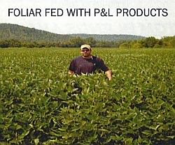 Field foliar fed with P & L products